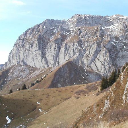 Chambre D'Hote La Petite Bergerie Abondance Esterno foto
