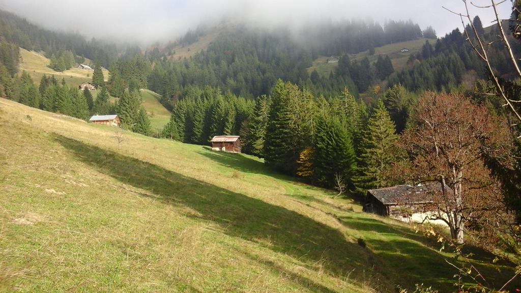 Chambre D'Hote La Petite Bergerie Abondance Esterno foto