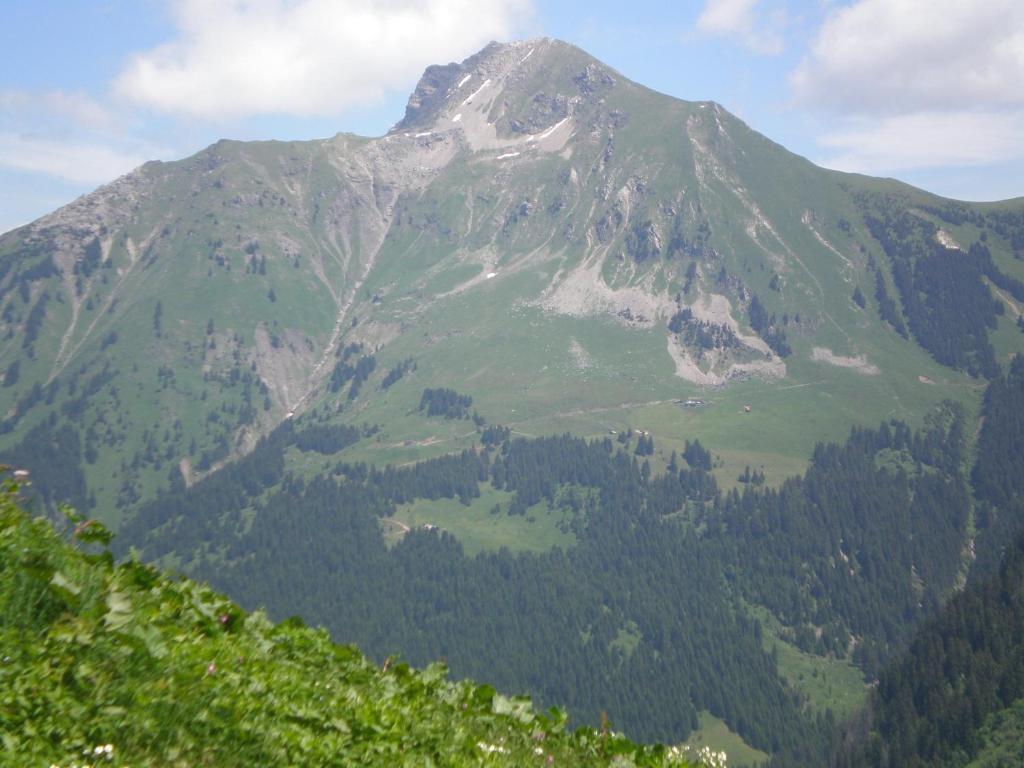 Chambre D'Hote La Petite Bergerie Abondance Esterno foto