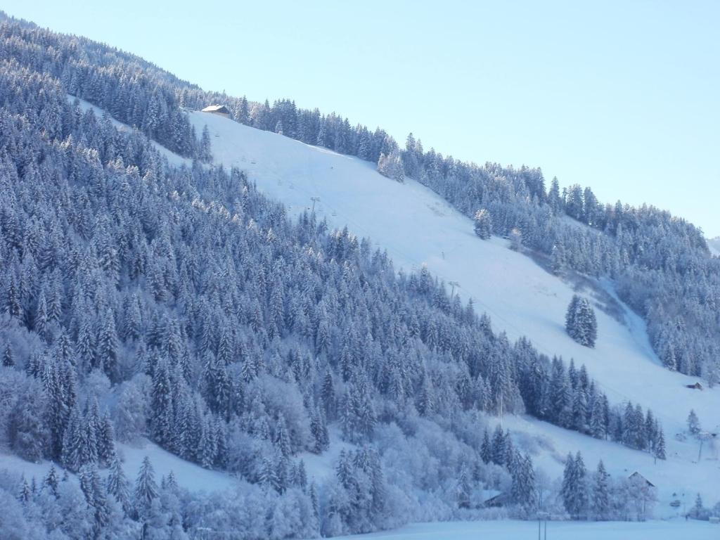 Chambre D'Hote La Petite Bergerie Abondance Esterno foto